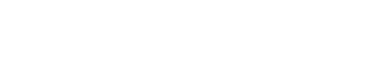 Logo 41
