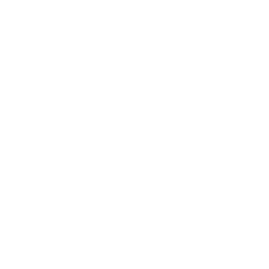 Logo 52