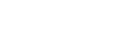 Logo 55